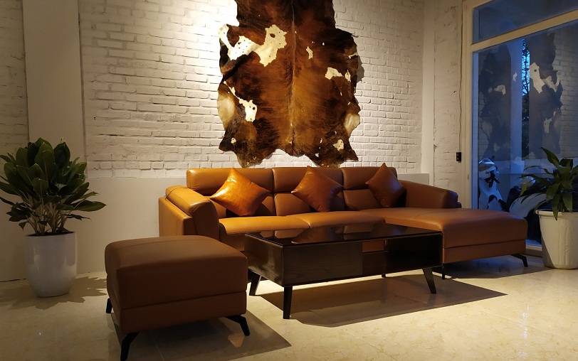 Hollips products bring great value to family living space 